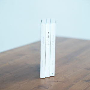 FICTIONアルバムが三冊立てて並んでいる
